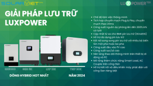 Dòng Hybrid hot nhất năm 2024